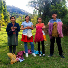 Load image into Gallery viewer, Wool Ornaments from Peru (Set of 6) - Winter Warmers | NOVICA