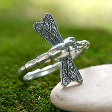 Load image into Gallery viewer, Dragonfly Fortunes