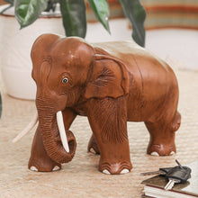 Load image into Gallery viewer, Majestic Elephant