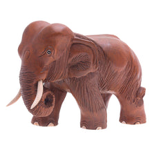 Load image into Gallery viewer, Rain Tree Wood Sculpture from Thailand - Majestic Elephant | NOVICA