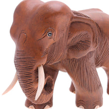 Load image into Gallery viewer, Rain Tree Wood Sculpture from Thailand - Majestic Elephant | NOVICA