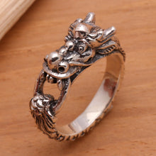 Load image into Gallery viewer, Flying Dragon