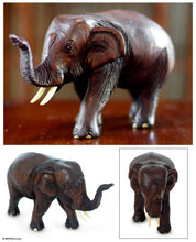 Load image into Gallery viewer, Friendly Thai Elephant