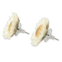 Load image into Gallery viewer, Natural Flower Button Earrings - White Aster | NOVICA