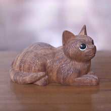 Load image into Gallery viewer, Long Haired Cat
