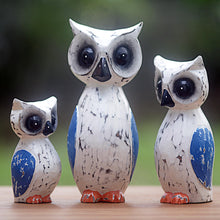 Load image into Gallery viewer, Wise Family