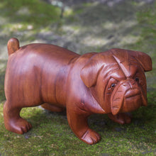 Load image into Gallery viewer, Fierce Bulldog