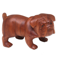 Load image into Gallery viewer, Hand Carved Suar Wood Bulldog Puppy Sculpture from Bali - Fierce Bulldog | NOVICA