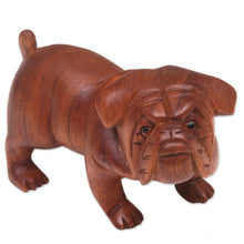 Load image into Gallery viewer, Hand Carved Suar Wood Bulldog Puppy Sculpture from Bali - Fierce Bulldog | NOVICA