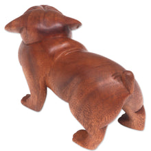 Load image into Gallery viewer, Hand Carved Suar Wood Bulldog Puppy Sculpture from Bali - Fierce Bulldog | NOVICA
