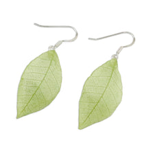 Load image into Gallery viewer, Natural Leaf Dangle Earrings in Sap Green from Thailand - Stunning Nature in Sap Green | NOVICA