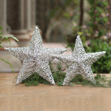 Load image into Gallery viewer, Woven Stars