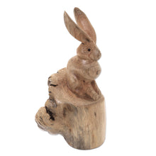 Load image into Gallery viewer, Hand-Carved Wood Hare Sculpture from Bali - Watchful Hare | NOVICA