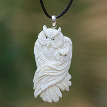 Load image into Gallery viewer, Owl Affection