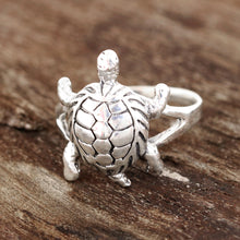 Load image into Gallery viewer, Fascinating Turtle