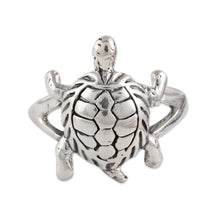 Load image into Gallery viewer, Fascinating Turtle