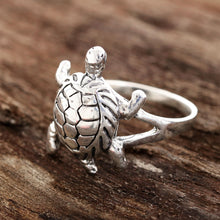 Load image into Gallery viewer, Fascinating Turtle