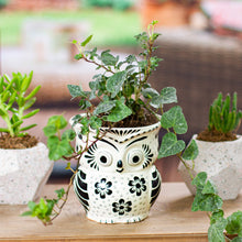 Load image into Gallery viewer, Floral Owl