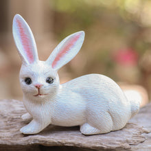 Load image into Gallery viewer, Wise Rabbit in White