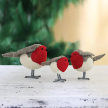 Load image into Gallery viewer, Rockin Robins