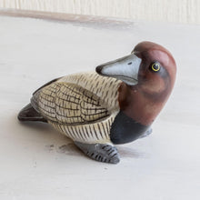 Load image into Gallery viewer, Canvasback Duck