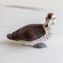 Load image into Gallery viewer, Masked Duck