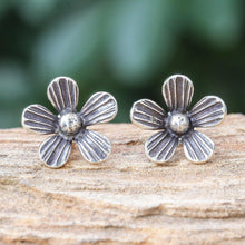 Load image into Gallery viewer, Striped Flowers