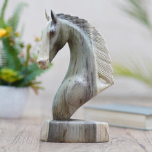 Load image into Gallery viewer, Horse Guard