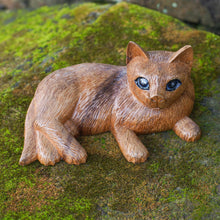Load image into Gallery viewer, WideEyed Cat