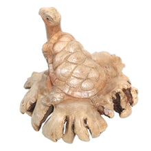 Load image into Gallery viewer, Hand Carved Jempinis Wood Turtle Sculpture - Struggling Turtle | NOVICA