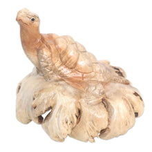 Load image into Gallery viewer, Hand Carved Jempinis Wood Turtle Sculpture - Struggling Turtle | NOVICA
