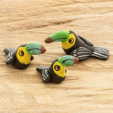 Load image into Gallery viewer, Toucan Family