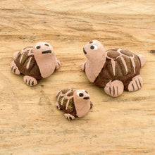 Load image into Gallery viewer, Tortoise Family