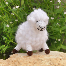 Load image into Gallery viewer, Set of 2 Crocheted Black and White Acrylic Sheep Ornaments - Woolly Duo | NOVICA
