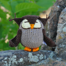 Load image into Gallery viewer, Set of Two Fox and Owl Acrylic Ornaments Crocheted by Hand - Holidays from the Forest | NOVICA