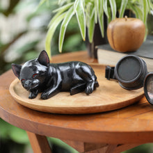 Load image into Gallery viewer, Sleeping Chihuahua at Night