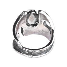 Load image into Gallery viewer, Passions Strength