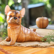 Load image into Gallery viewer, Stretching Brown Bulldog