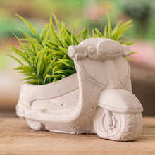 Load image into Gallery viewer, Evergreen Scooter