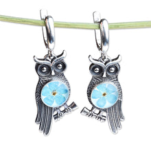 Load image into Gallery viewer, Owl-Themed Natural Flower Sterling Silver Dangle Earrings - Sage's Memories | NOVICA