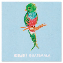 Load image into Gallery viewer, Traditional Quetzal Bird-Themed Paper Magnet from Guatemala - Quetzal Memories | NOVICA