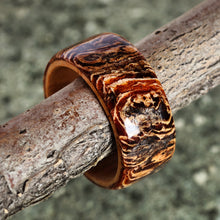 Load image into Gallery viewer, Apricot Majesty