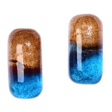 Load image into Gallery viewer, Handmade Blue and Brown Apricot Wood Oblong Button Earrings - Little Spell | NOVICA