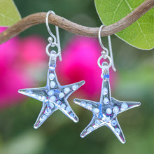 Load image into Gallery viewer, Light Blue Starfish