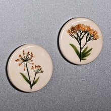 Load image into Gallery viewer, Yellow Blooms