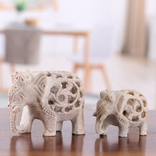 Load image into Gallery viewer, Elephant Bonds