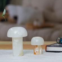 Load image into Gallery viewer, Marvelous Mushrooms