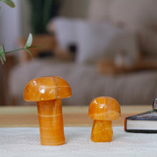 Load image into Gallery viewer, Morning Mushrooms