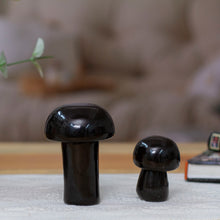 Load image into Gallery viewer, Midnight Mushrooms