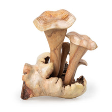 Load image into Gallery viewer, Eco-Friendly Jempinis and Benalu Wood Mushroom Sculpture - Mushroom Nature | NOVICA